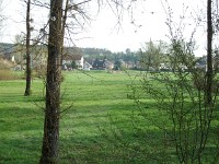 IMGP3985
