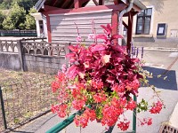 P 20180723 142536 vHDR On