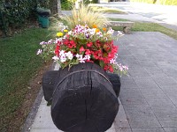P 20180727 073731 vHDR On