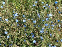DSC01040