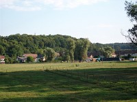 IMGP4713