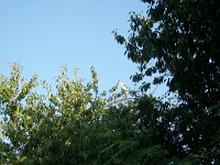 IMGP4717