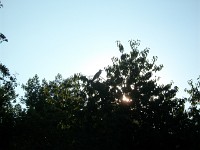 IMGP4718