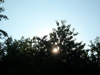 IMGP4719