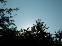 IMGP4721