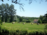 IMGP4639