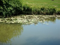 IMGP4640