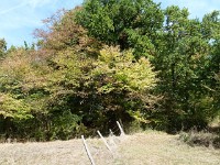 21 Septembre 20180004