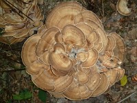 P1050024