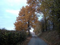 IMGP4899