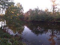 P 20181017 172514
