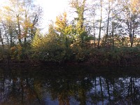 P 20181017 172534