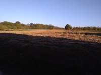 P 20180928 085206