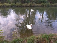 30 Septembre 20180001