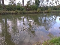 30 Septembre 20180003