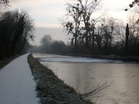 IMGP5206