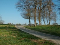 IMGP5913