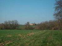 IMGP5918