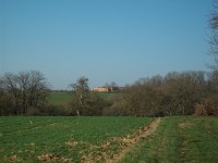 IMGP5919