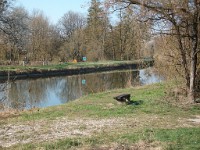 IMGP5924