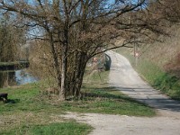 IMGP5925